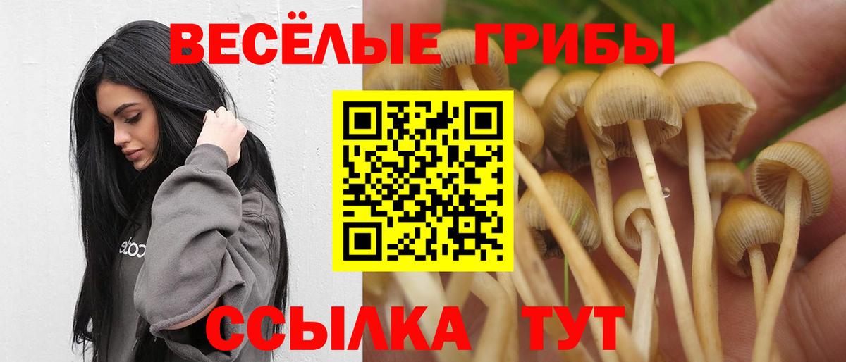 Галлюциногенные грибы мухоморы  Псилоцибиновые грибы мицелий  Вход с VPN  Алатырь 
